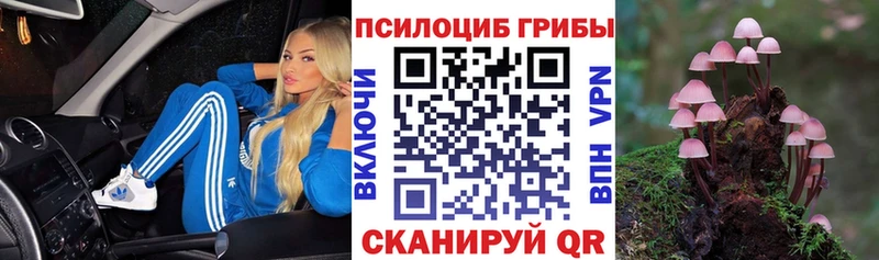 Галлюциногенные грибы мухоморы  купить  сайты  блэк спрут вход  Переславль-Залесский 