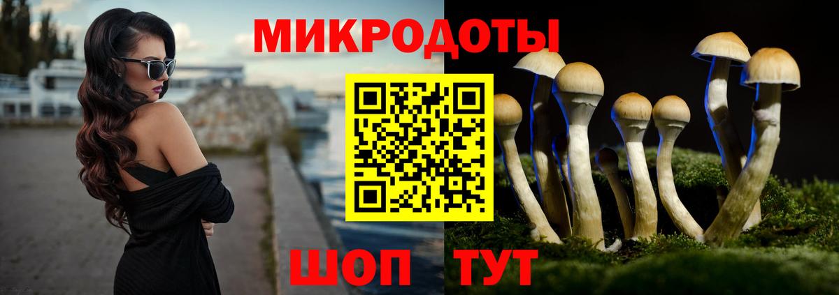 Галлюциногенные грибы Psilocybe Переславль-Залесский