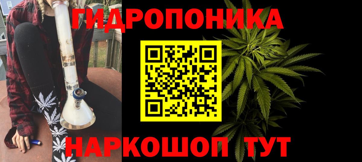 Конопля гибрид Переславль-Залесский